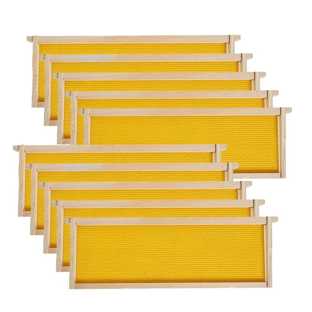 Beekeeping Equipment 10 Medium Frames + 10 Foundation ASSEMBLED For Super Boxes